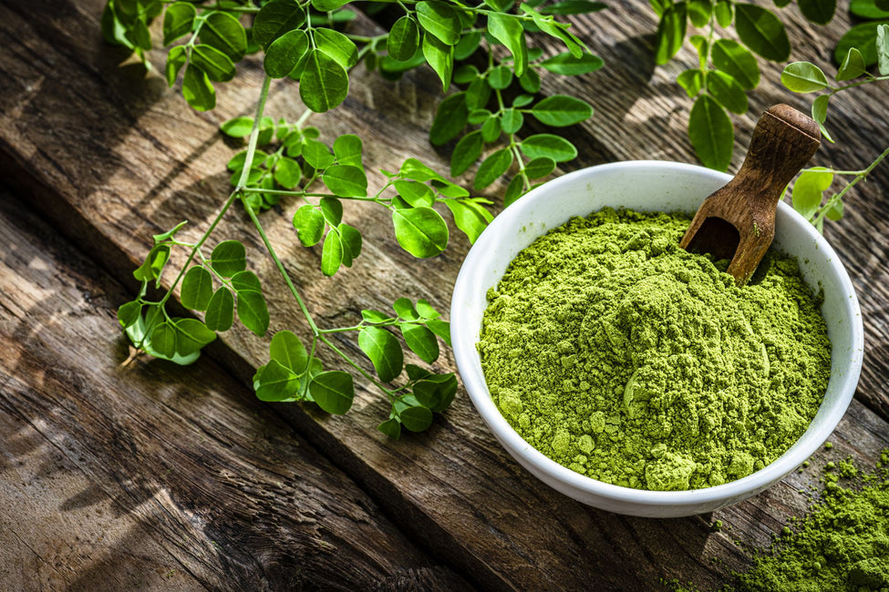 The Top Moringa Products-Based Online in India